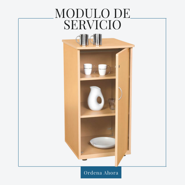 Modulo de Servicio